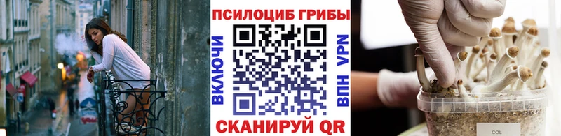 купить закладку  Железногорск-Илимский  мега зеркало  Галлюциногенные грибы Psilocybe 